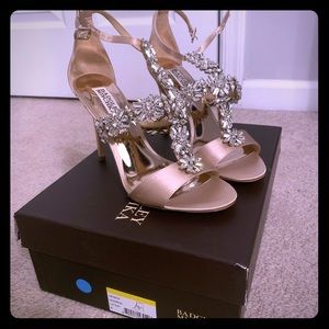 NWT Badgley Mischka Nude Pumps with Sparkle